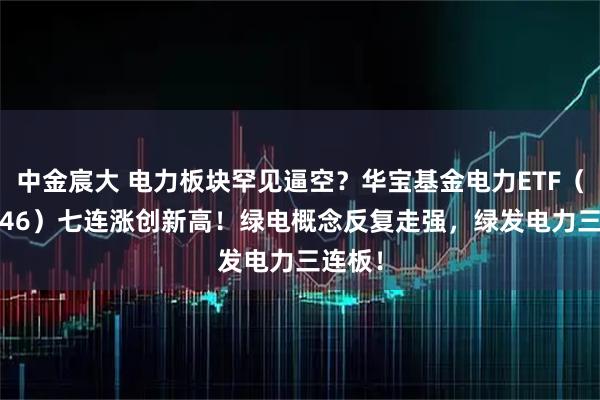 中金宸大 电力板块罕见逼空？华宝基金电力ETF（159146）七连涨创新高！绿电概念反复走强，绿发电力三连板！