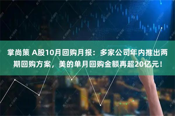 掌尚策 A股10月回购月报：多家公司年内推出两期回购方案，美的单月回购金额再超20亿元！