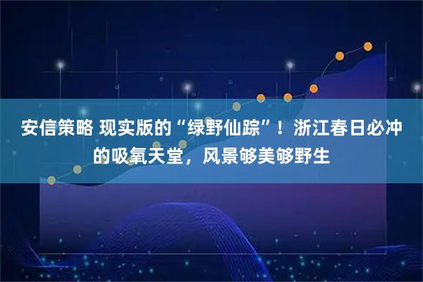 安信策略 现实版的“绿野仙踪”!浙江春日必冲的吸氧天堂,风景够美够野生