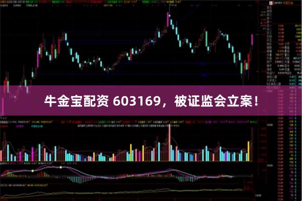 牛金宝配资 603169，被证监会立案！