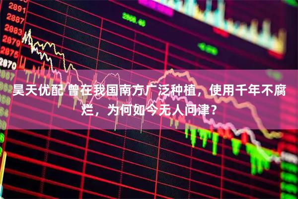 昊天优配 曾在我国南方广泛种植，使用千年不腐烂，为何如今无人问津？
